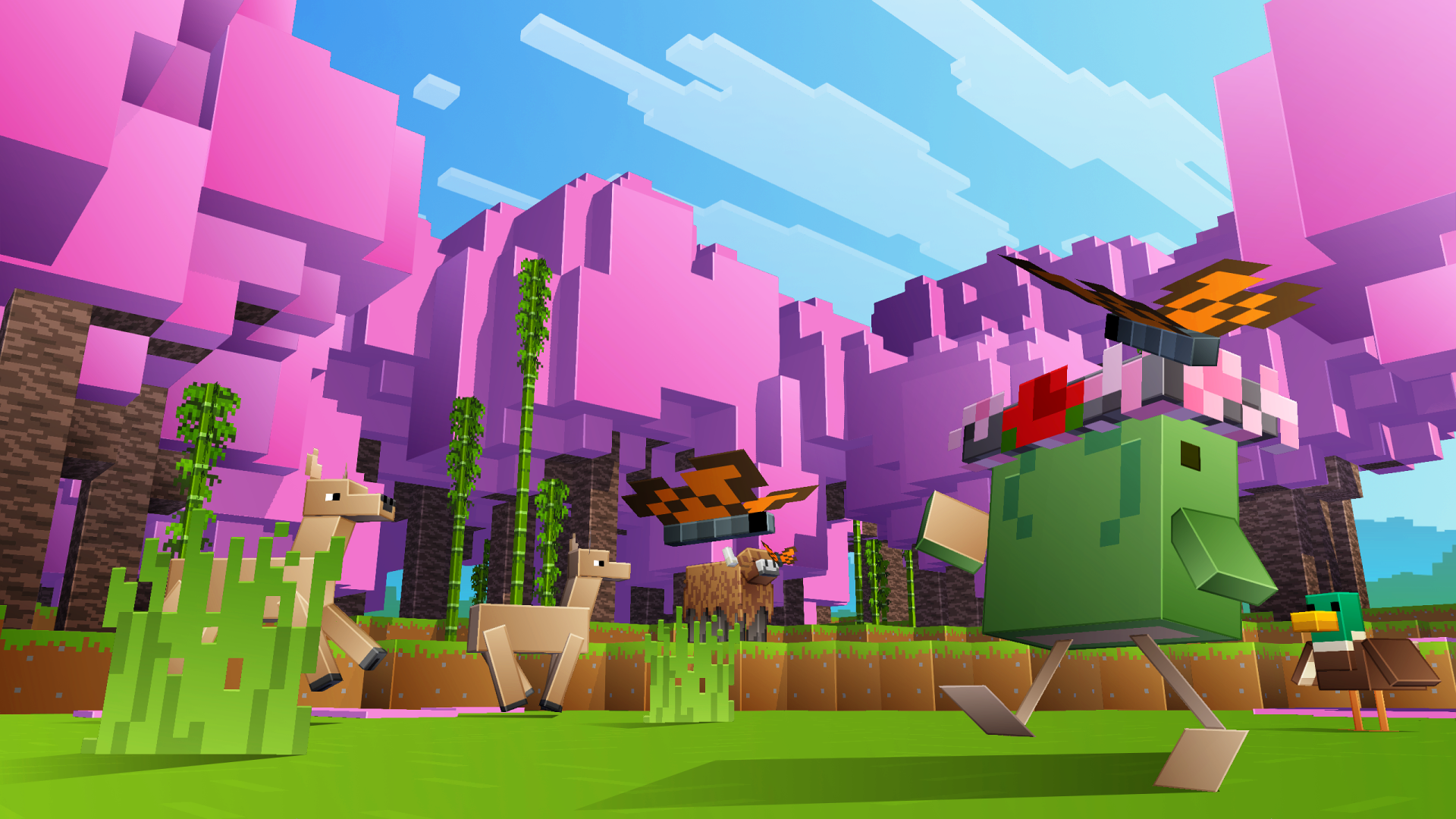 Introducing Environmental