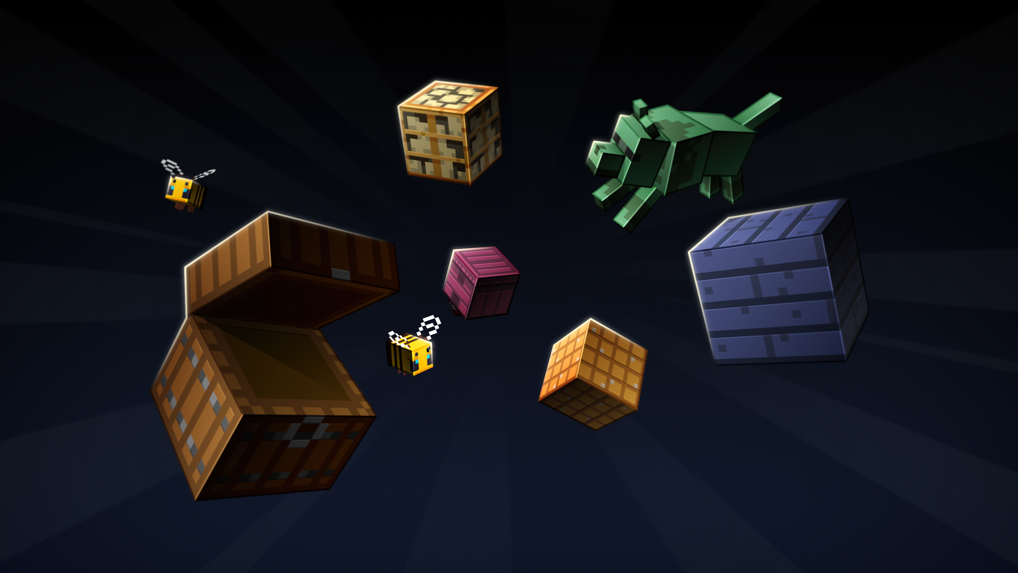 Roster Updates & Future Plans